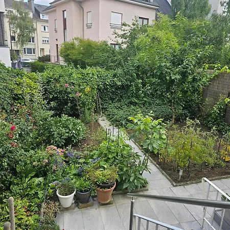 Excellent Appartement