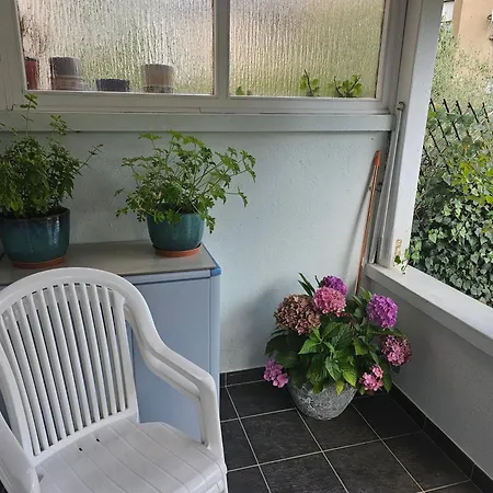 Apartament Excellent *